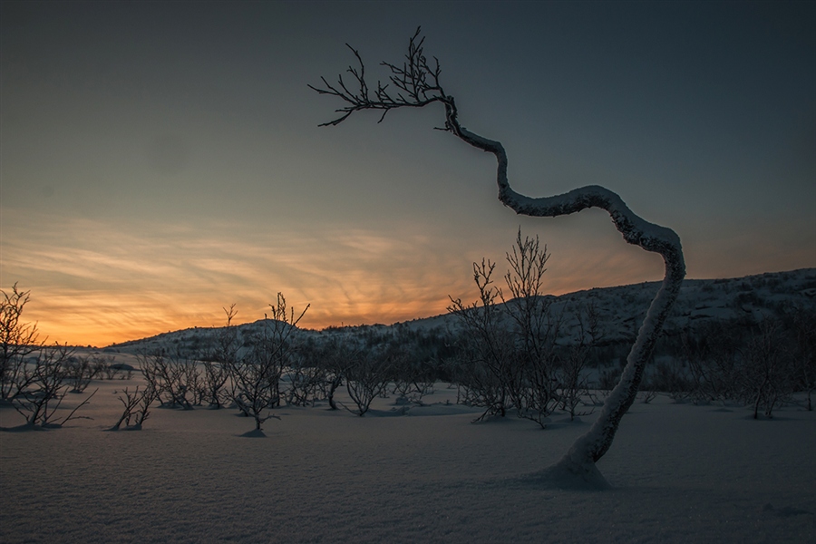 Фото жизнь