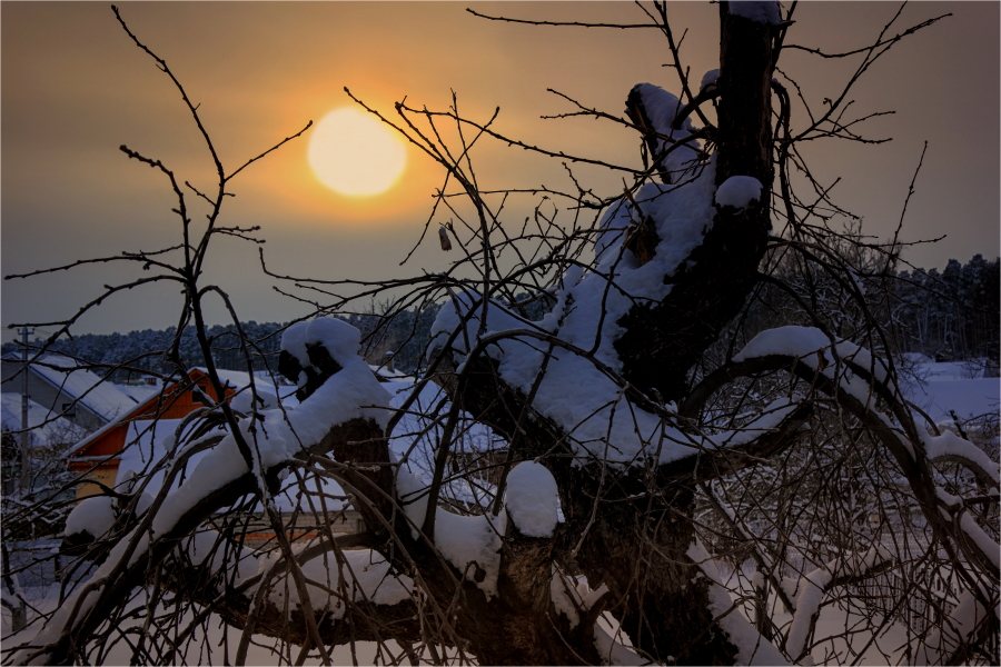 Фото жизнь - Laborant - корневой каталог - Зима. Закат.