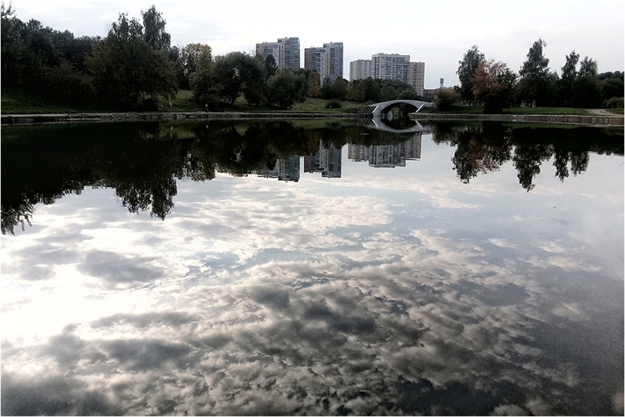 Фото жизнь
