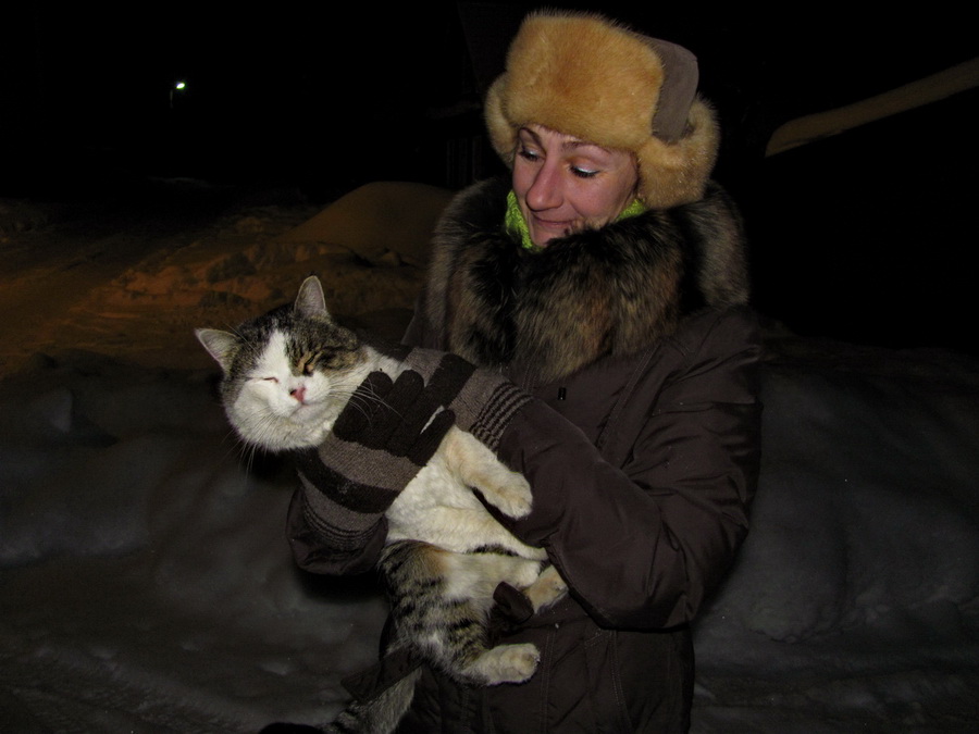 Фото жизнь (light) - Владимир Юрков - корневой каталог - Night Cat