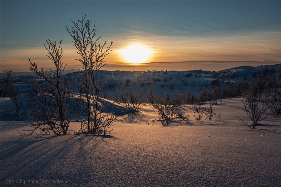 Фото жизнь