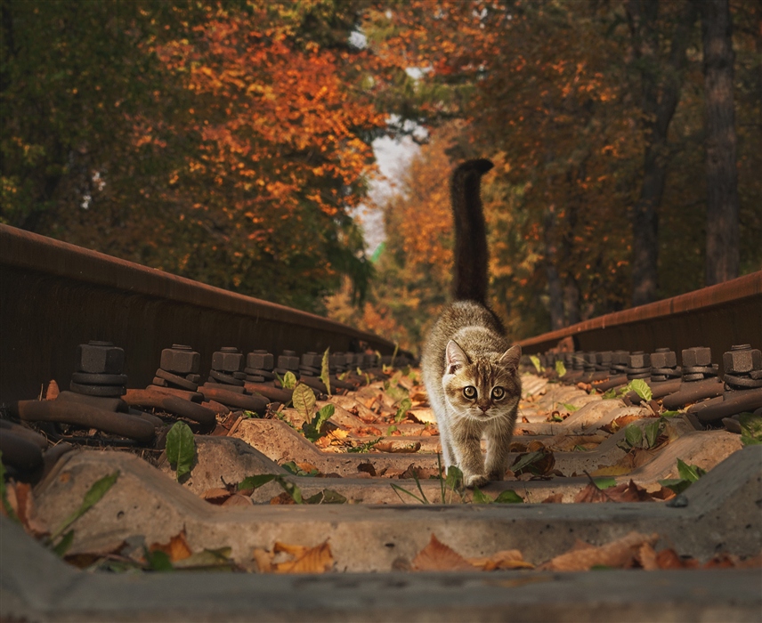 Фото жизнь