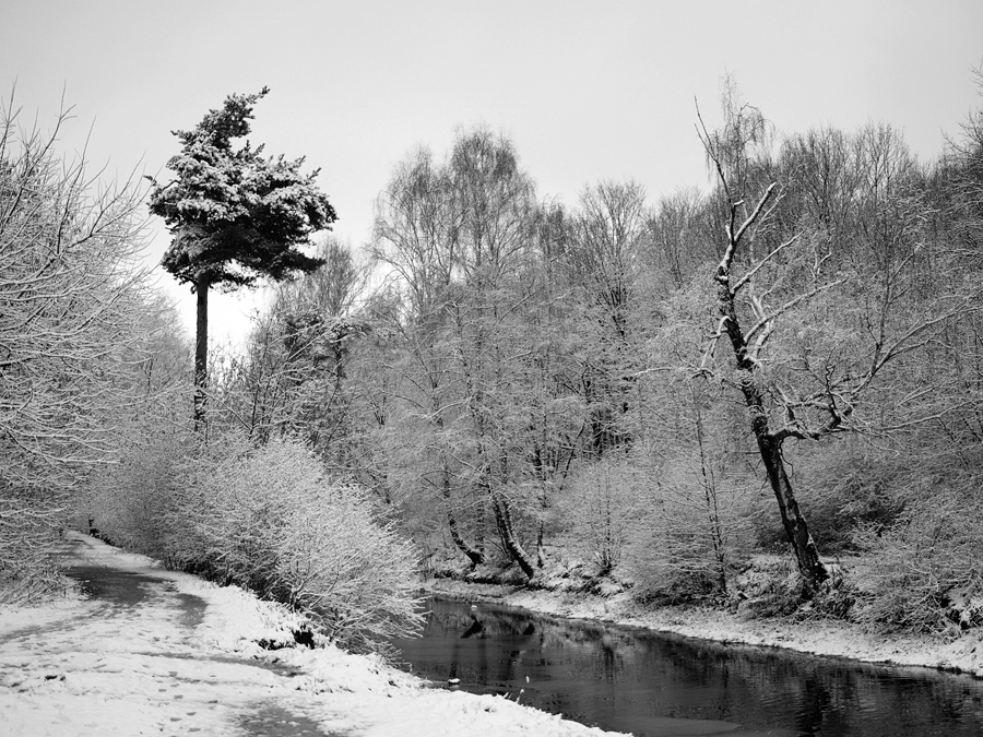 Фото жизнь (light) - Sergey-63 - корневой каталог - Первый снег