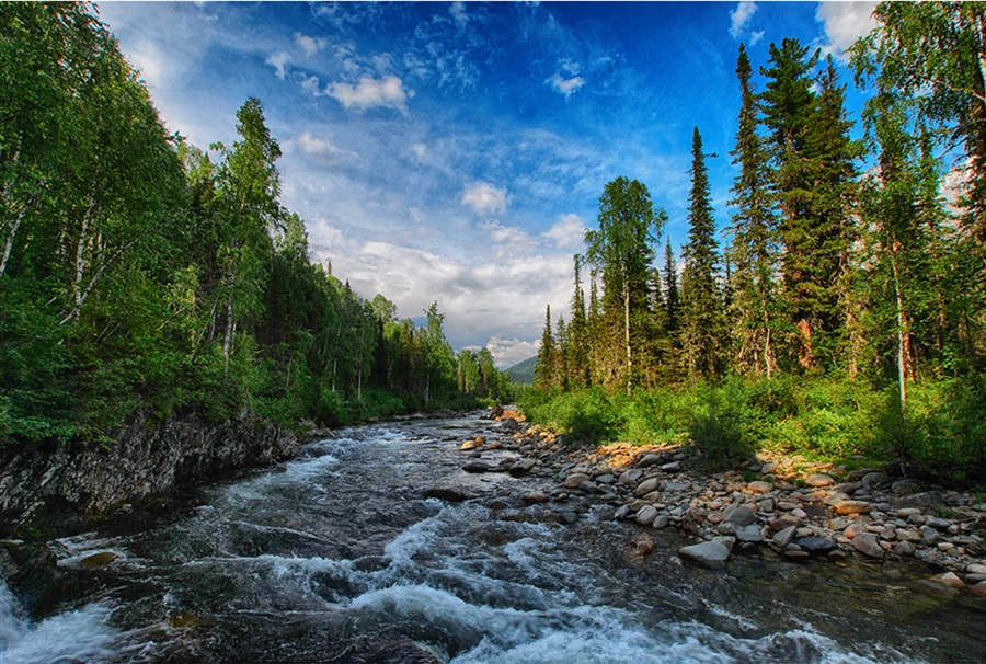 Фото жизнь
