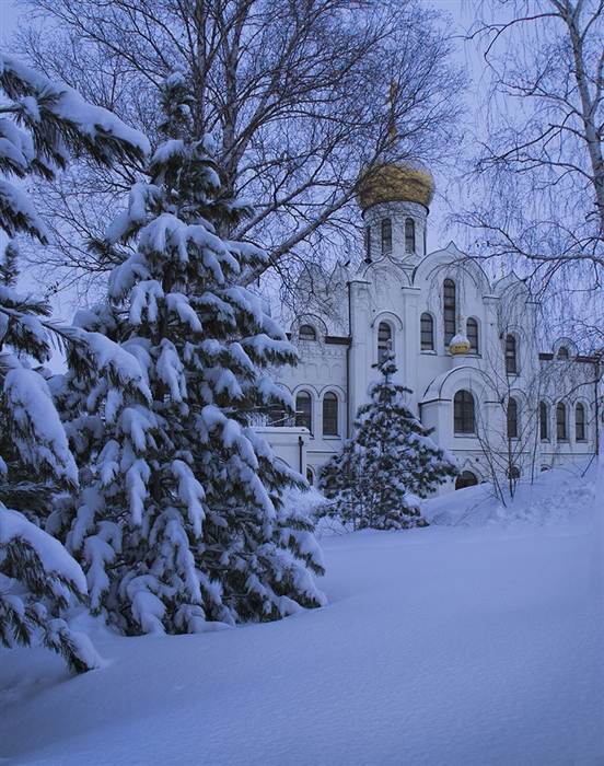 Фото жизнь