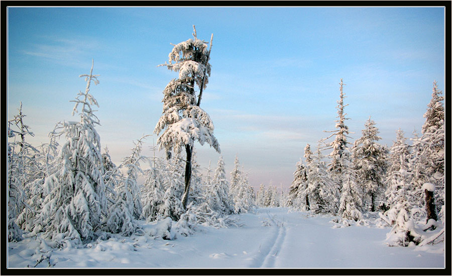 Фото жизнь - Виктор Солодухин - Сказочная зима - Заметённая лыжня