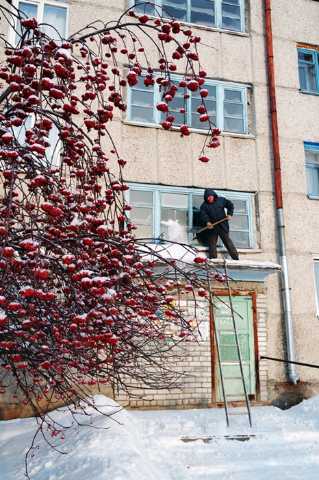 Фото жизнь
