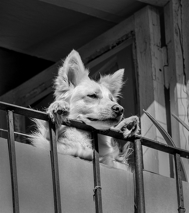 Фото жизнь