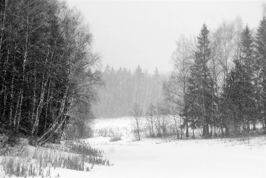 Фото жизнь