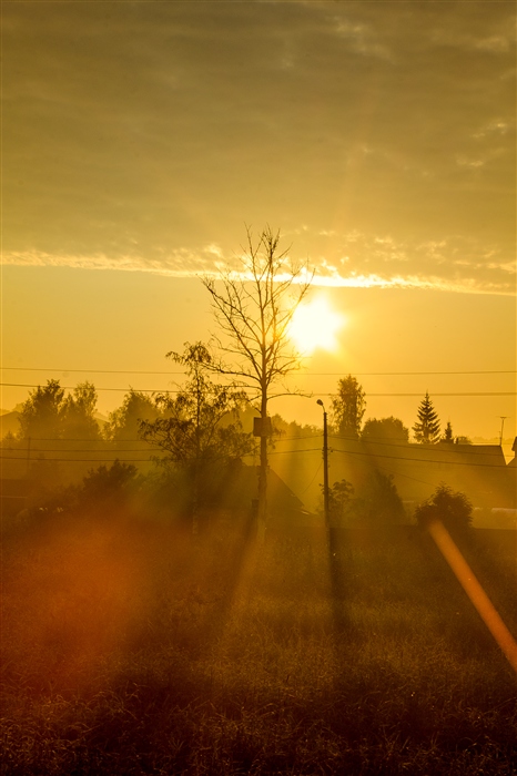 Фото жизнь