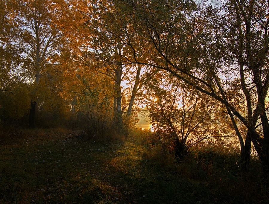 Фото жизнь