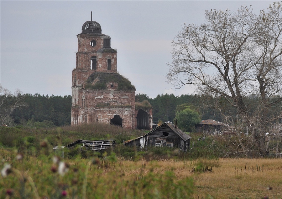 Фото жизнь