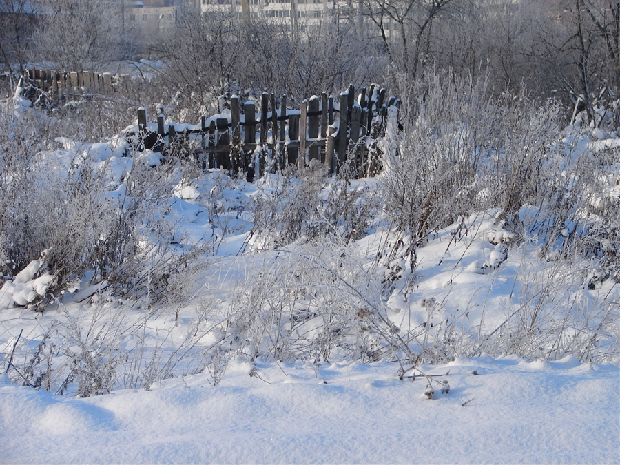 Фото жизнь