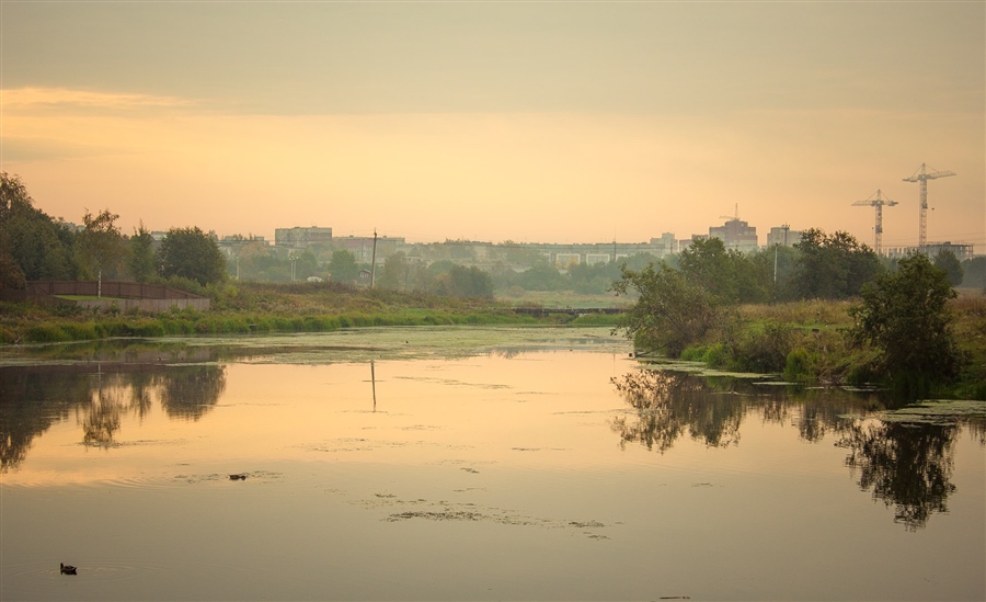 Фото жизнь