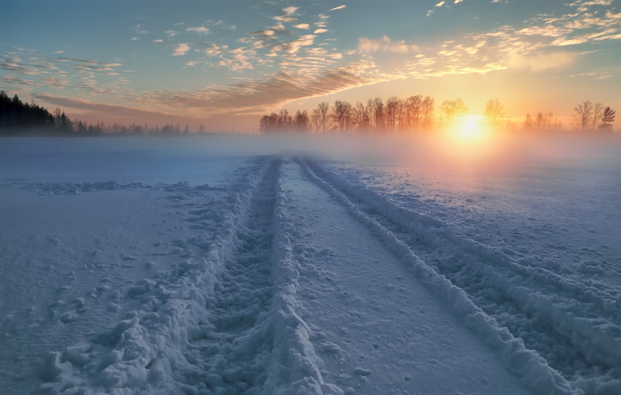 Фото жизнь