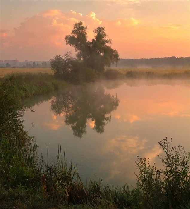 Фото жизнь