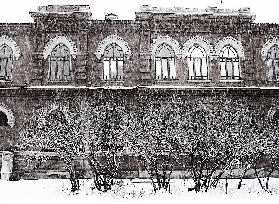 Фото жизнь - Alexandre Varyhanov - корневой каталог - Падал прошлогодний снег