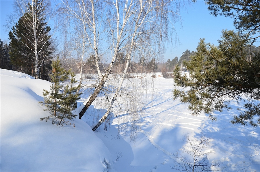 Фото жизнь