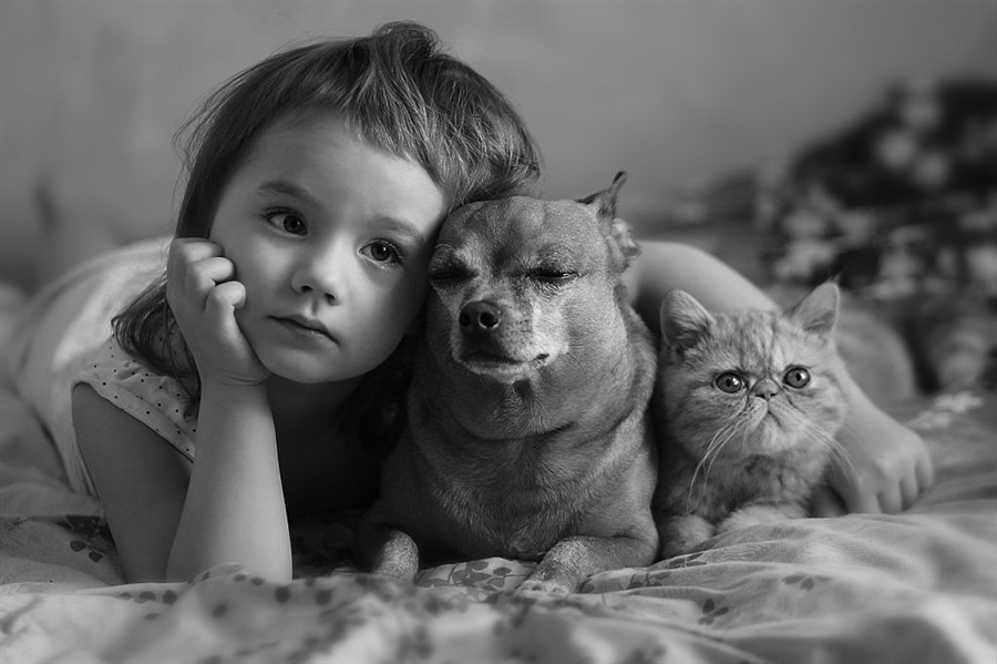 Фото жизнь