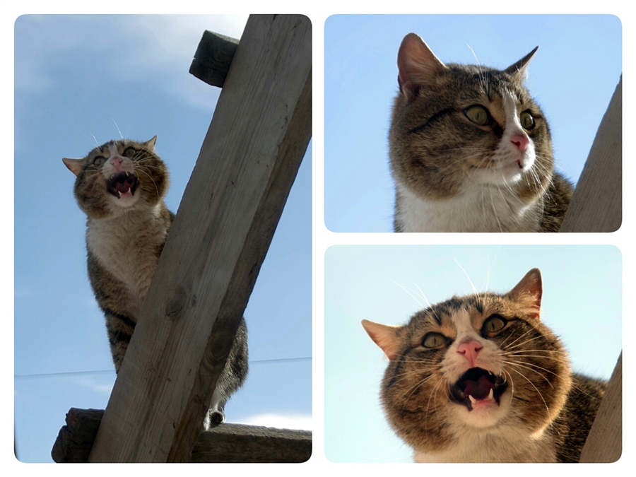 Вот и пришла Весна!!!