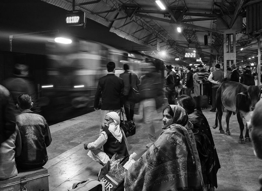Фото жизнь