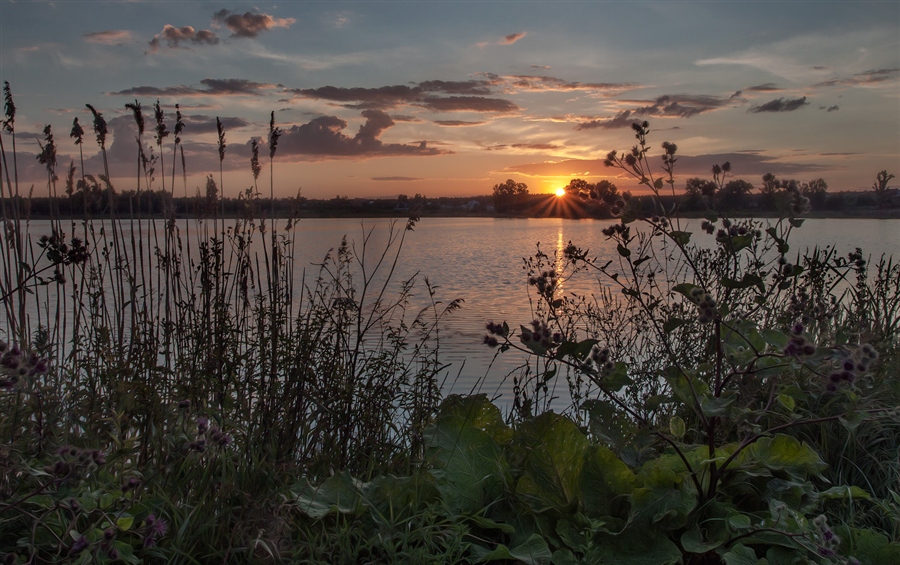 Фото жизнь