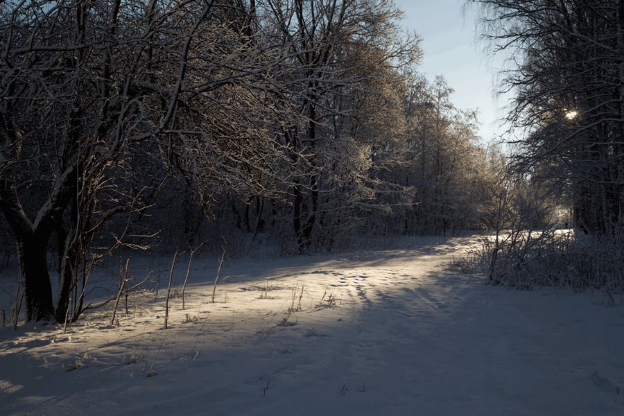 Фото жизнь