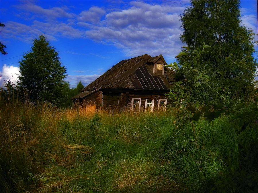 Фото жизнь