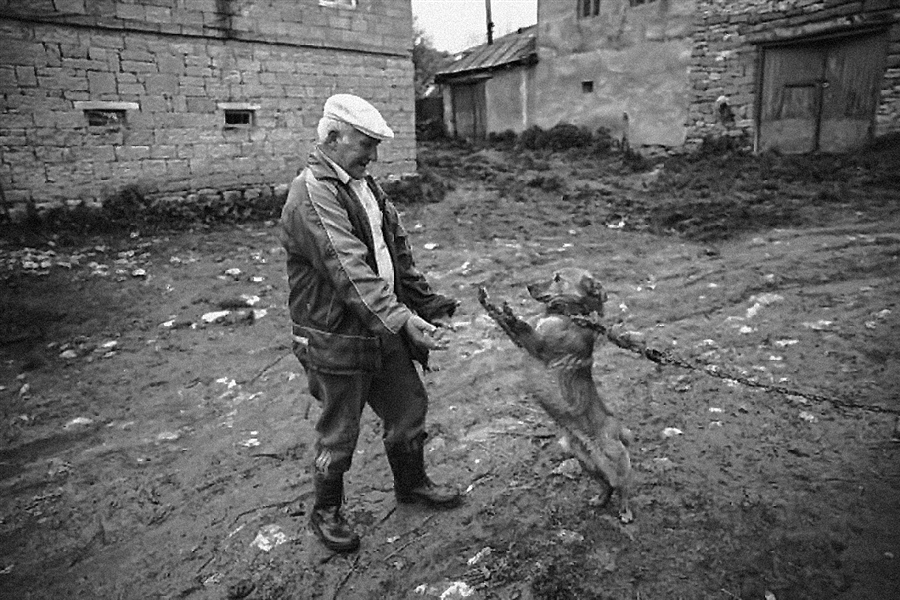 Фото жизнь