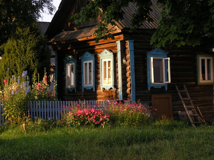 Фото жизнь