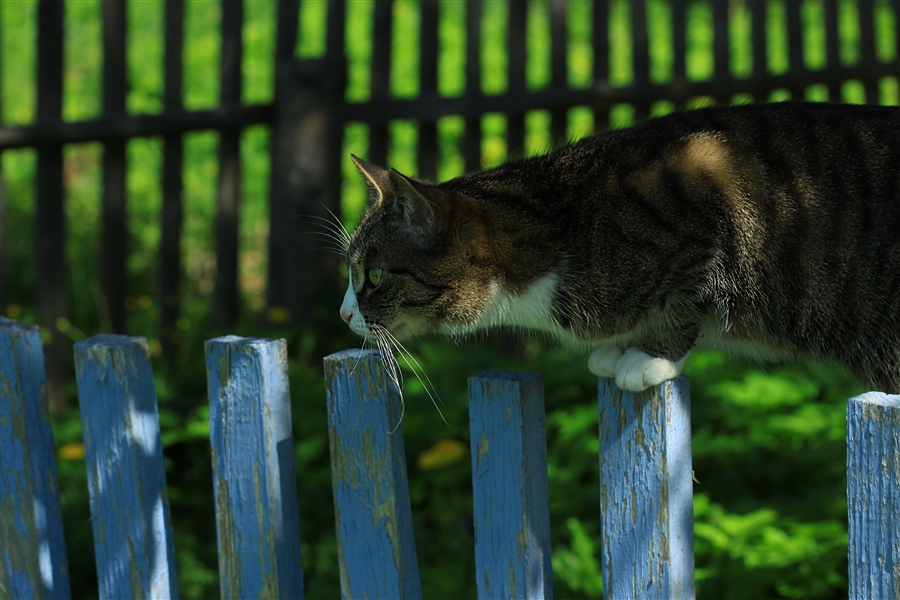 Фото жизнь