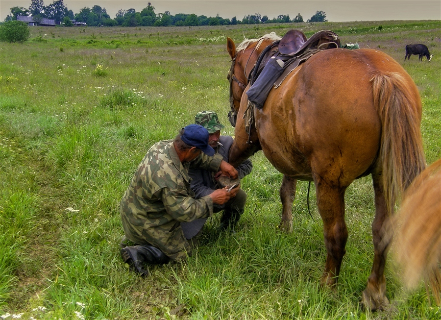 Фото жизнь