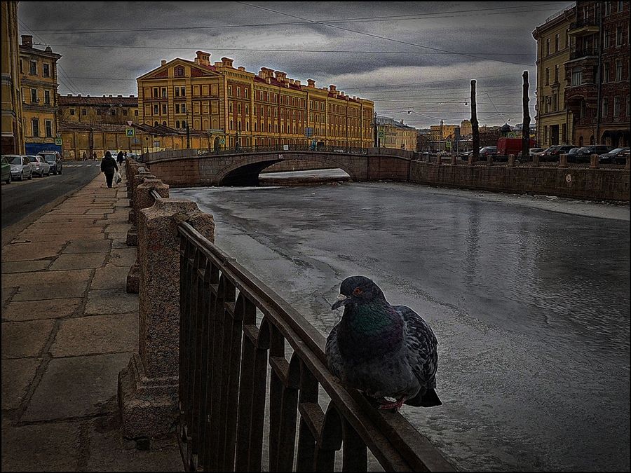 Фото жизнь