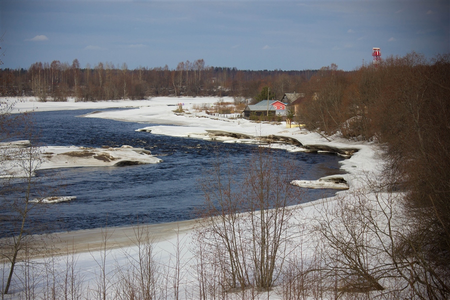 Фото жизнь