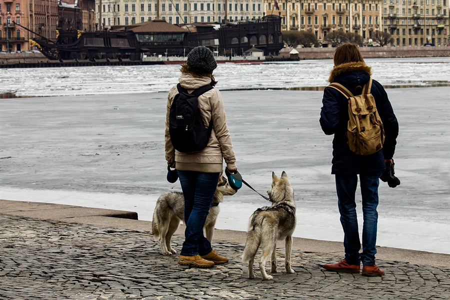 Фото жизнь