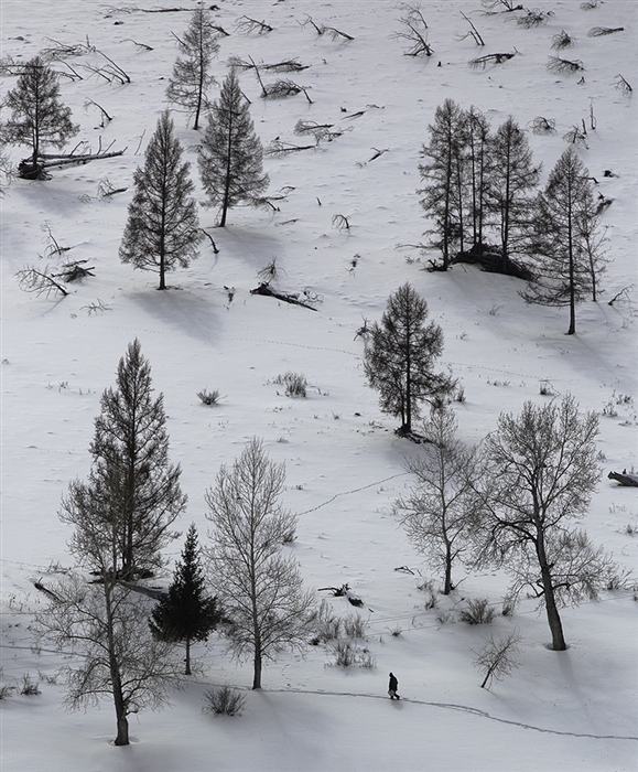 Фото жизнь