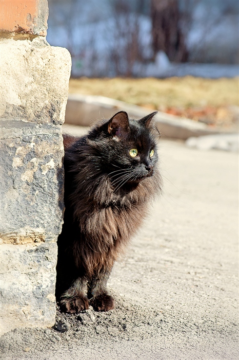 Фото жизнь