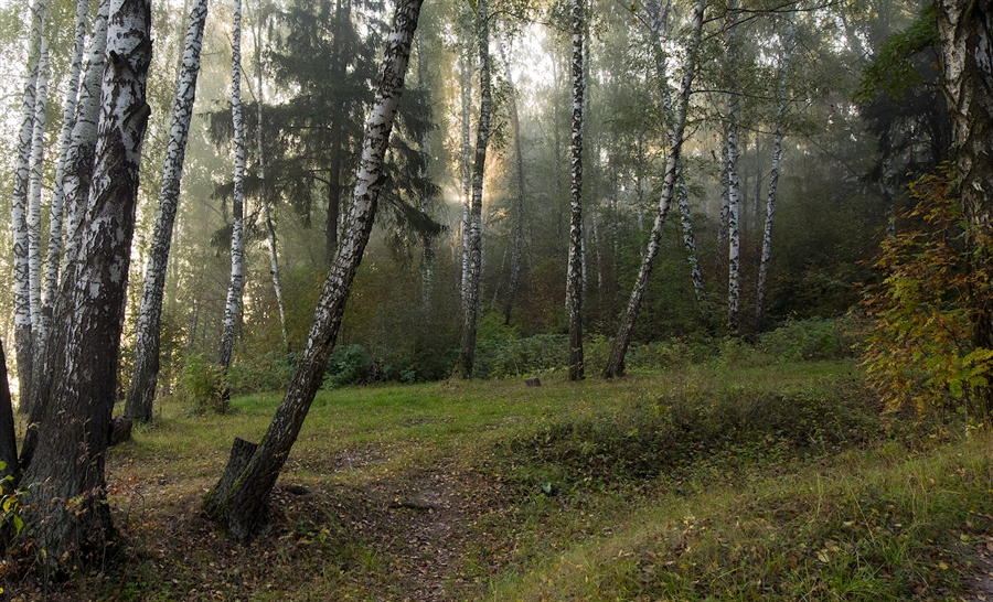 Фото жизнь