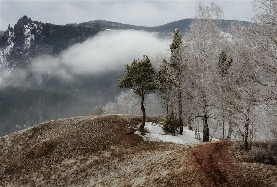 Фото жизнь