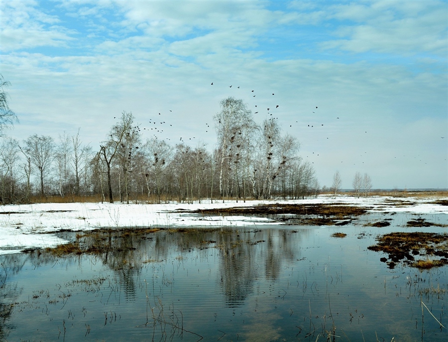 Фото жизнь