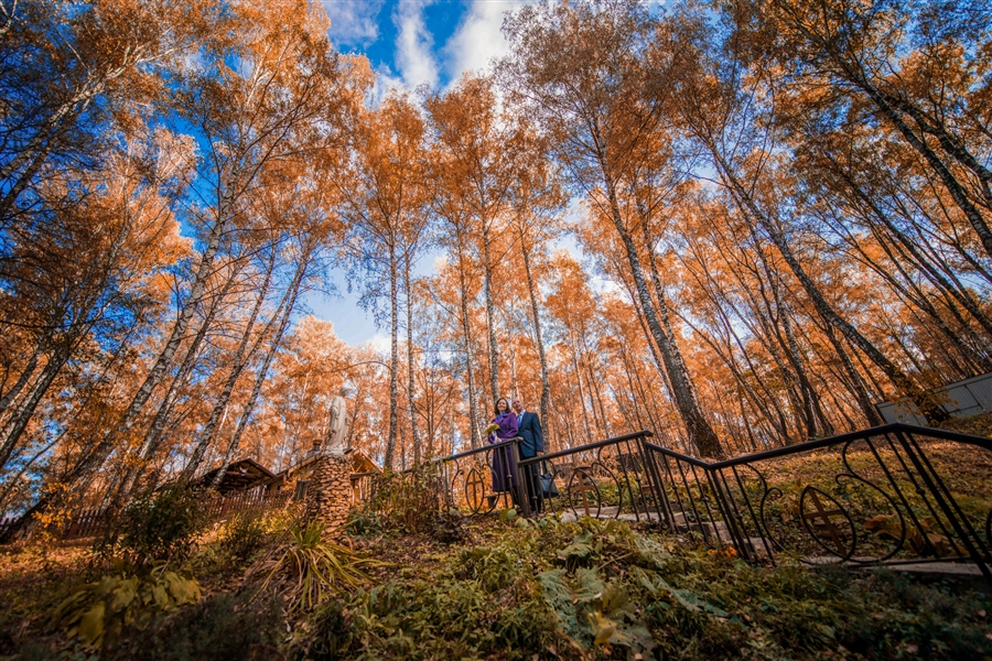 Фото жизнь