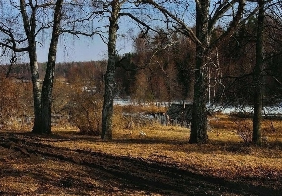 Фото жизнь