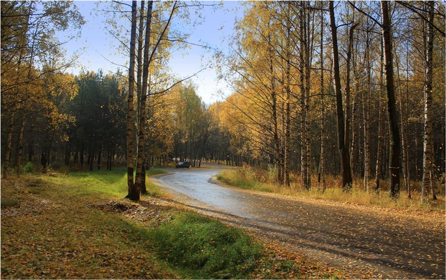 Фото жизнь