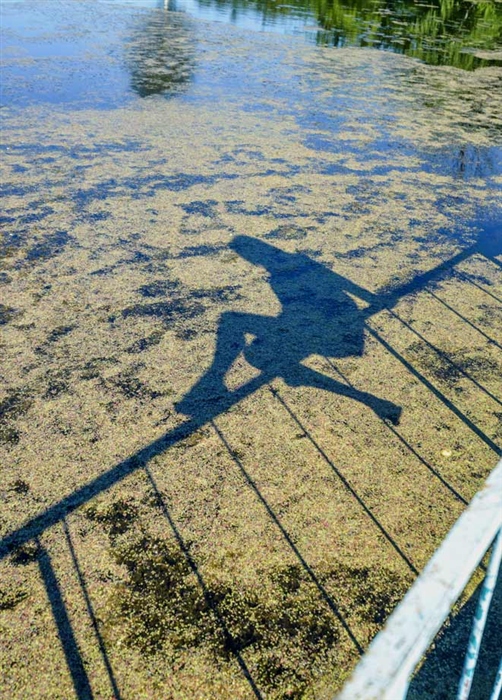 Фото жизнь