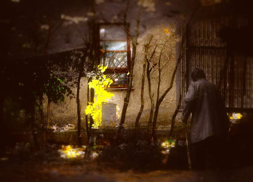 Фото жизнь - Владимир Полонский - корневой каталог - Дежа вю.