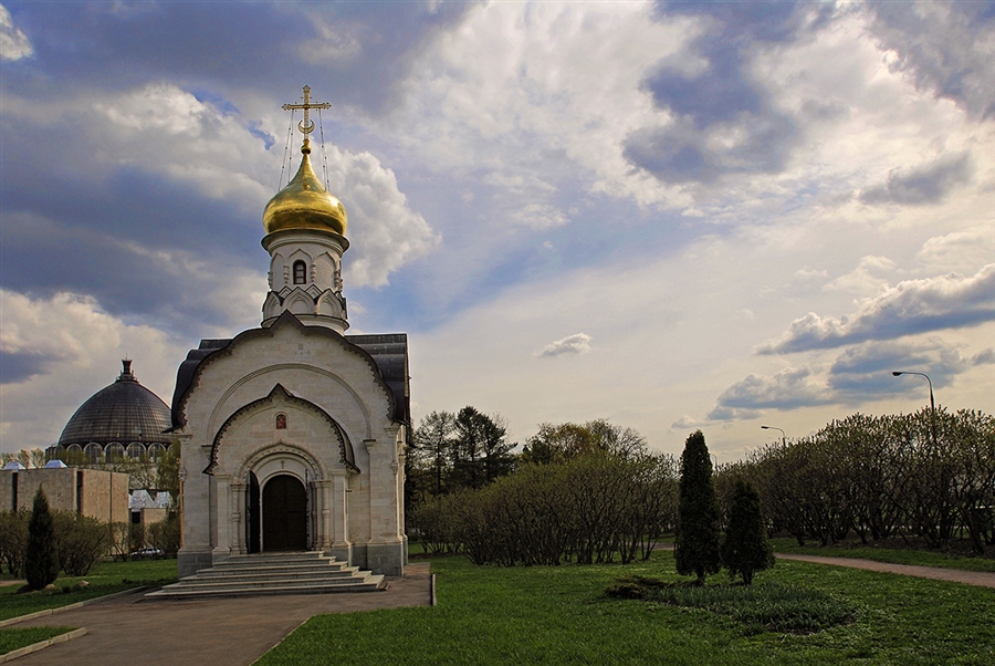 Фото жизнь