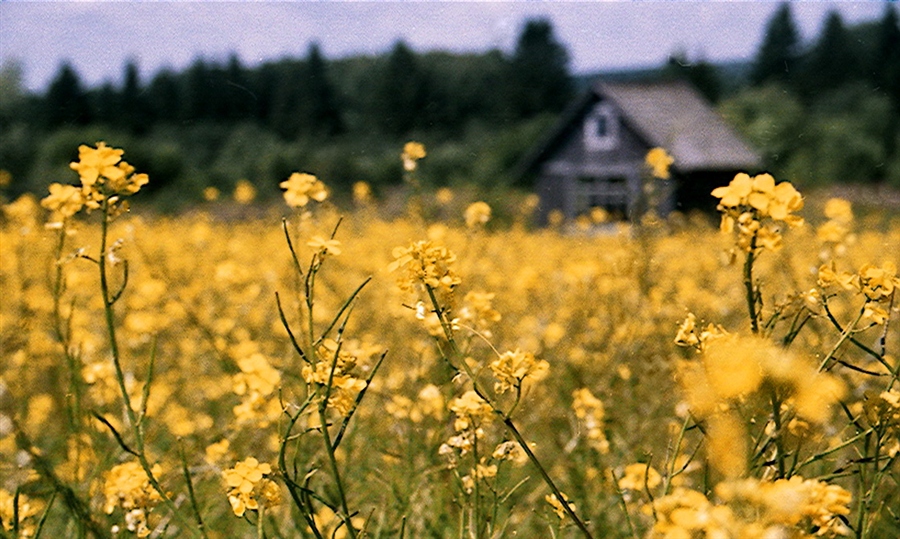 Фото жизнь