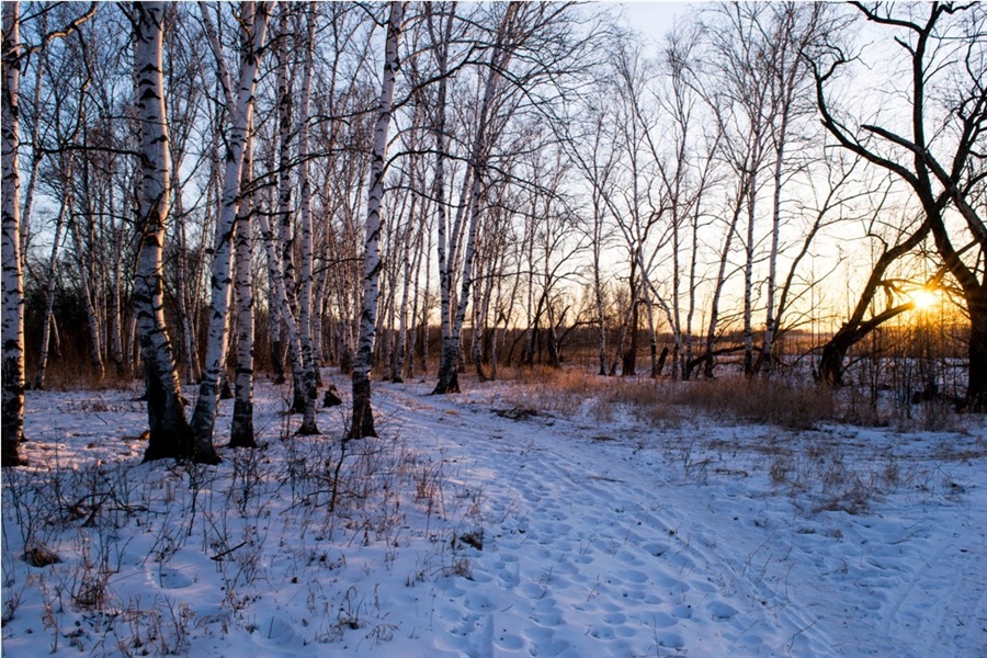 Фото жизнь