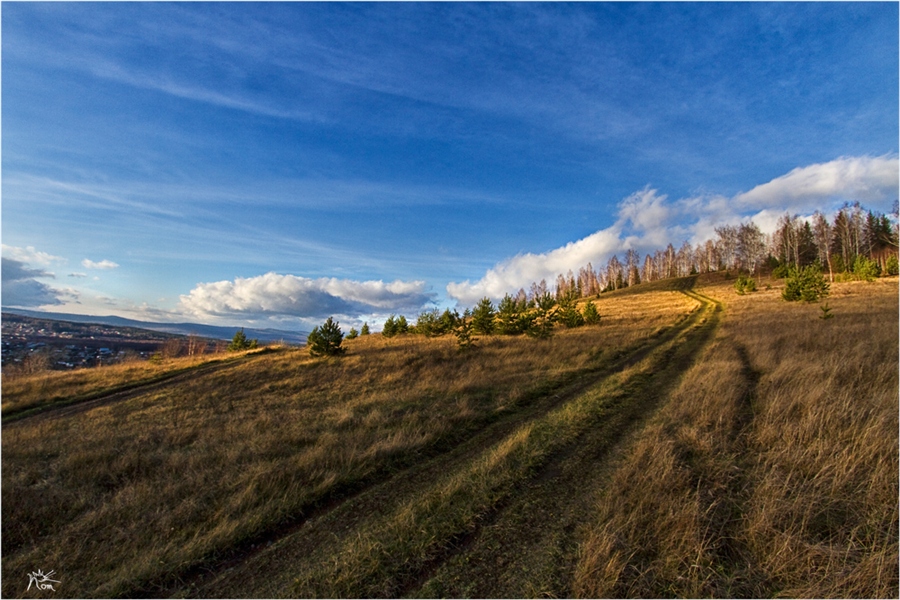 Фото жизнь