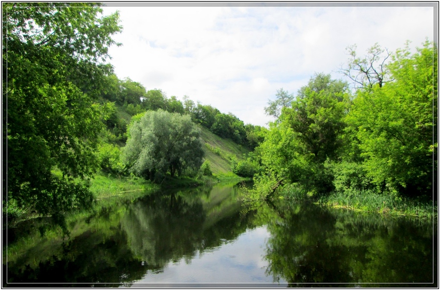 Фото жизнь